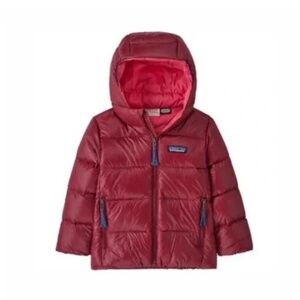 Patagonia HiLoft baby down hoody